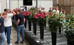News image: Nico Vork wint Plasbokaal 2025